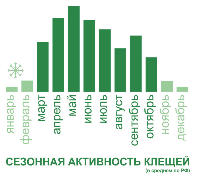 Акарицидная обработка от клещей территории и участков в Прокопьевске. Цены